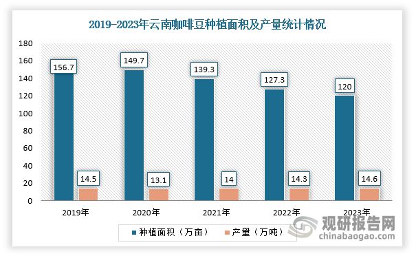 投资趋势分析报告（2025-2032年）AG真人直营中国咖啡豆行业现状深度研究与(图1)