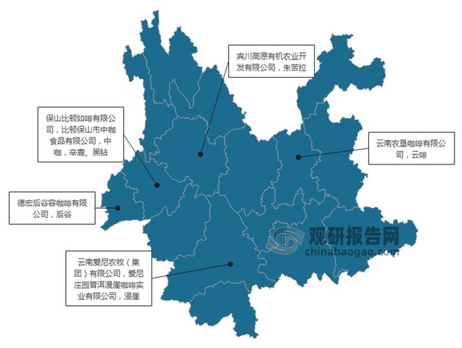 投资趋势分析报告（2025-2032年）AG真人直营中国咖啡豆行业现状深度研究与(图5)