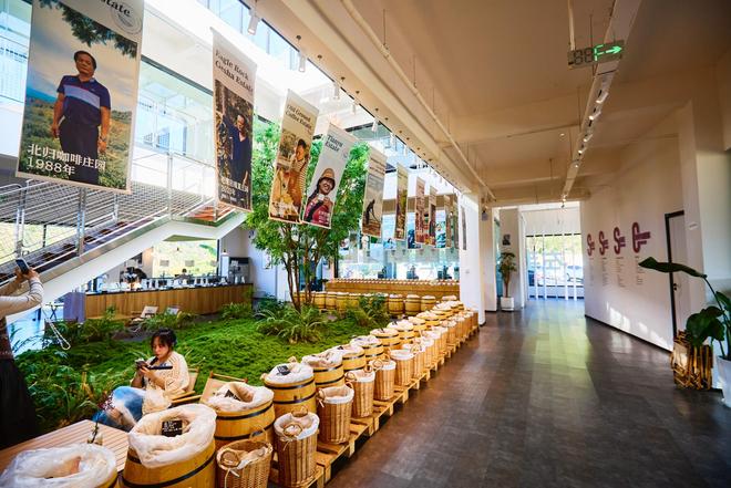 园体验咖啡文化深入了解背后的文化故事AG真人百家家乐平台普洱北归咖啡庄(图2)